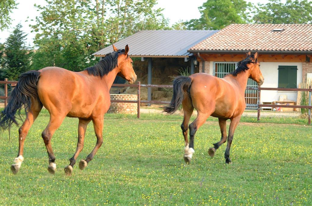 B&B Ca' Cinel Asolo Buitenkant foto